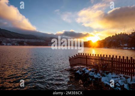 Lake Titisee in evening light Stock Photo