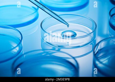 science lab with clear blue background and test tubes with blue chemicals Stock Photo