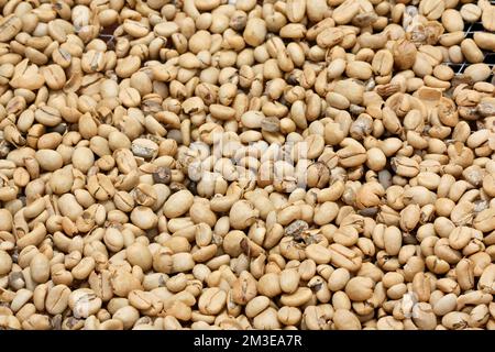 Fresh coffee beans as background Stock Photo