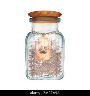 Hand-drawn watercolor glass jar with anise spice. This is a part of the big collection of indian spices Stock Photo