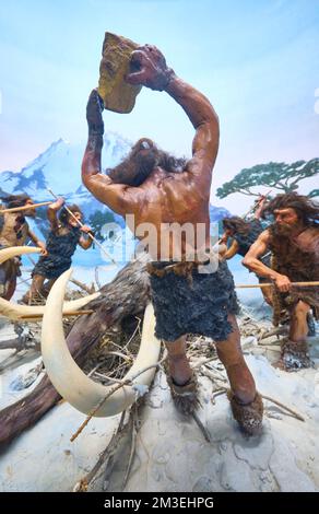 Cave men, stone age men, attacking a mastadon, wooly mamoth with rocks, spears in the winter, in the snow. Detail of a diorama at the Gorodskoy Muzey, Stock Photo