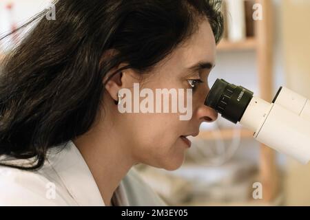Close-up of a researcher analyzing a specimen with a high-tech microscope. Stock Photo