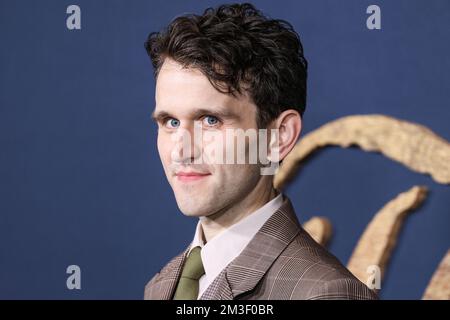 LOS ANGELES, CALIFORNIA, USA - DECEMBER 14: English actor Harry Melling arrives at the Los Angeles Premiere Of Netflix's 'The Pale Blue Eye' held at the Directors Guild of America Theater Complex on December 14, 2022 in Los Angeles, California, United States. (Photo by Xavier Collin/Image Press Agency) Stock Photo