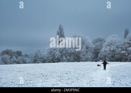 Young couple walking their dogs in the park on a snowy day in South London Stock Photo