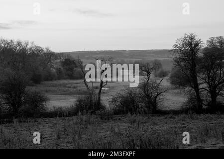 Black and white view of County Durham landscape in late autumn at sunrise Stock Photo