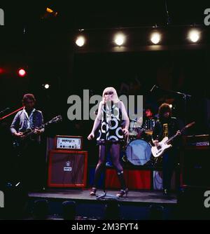 Wayne County, auch Jayne County, amerikanische Sängerin, mit der Punk und Glamrock Band Wayne County and Electric Chairs, TV-Auftritt in Deutschland, 1979. American singer Wayne County aka Jayne County with the Punk and Glam rock band Wayne County & Electric Chairs band. Stock Photo