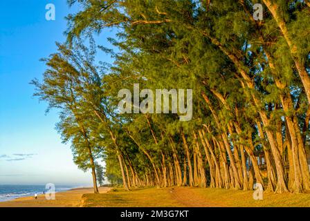 Long sandy beach in Manakara on the east coast of Madagascar Stock Photo