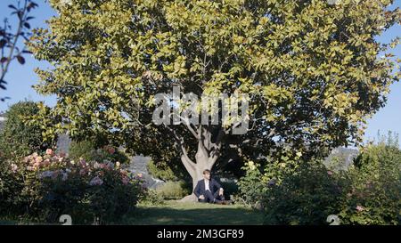 A man in a suit sitting under a huge tree. Action.A young man in a dark blue suit is sitting on the green grass under a huge tree with green leaves. H Stock Photo
