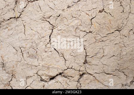 Texture of a cracked wall made of straw and clay. Background for text. Stock Photo