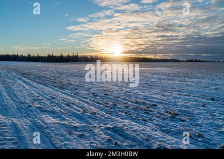 Sunset over winter fields in rural Canada. Stock Photo