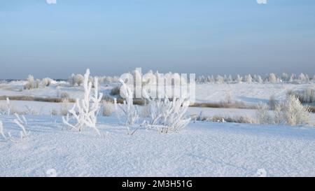 Icy bush shining under the sun, winter severe frost landscape. Creative. Snow desert with white beautiful field with bushes Stock Photo