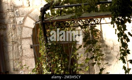 Old stone house with green ivy and lichen on the black metal porch. Creative. Green vegetation in front of the wall of an ancient building Stock Photo