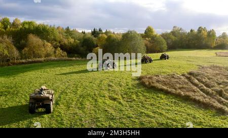 Green summer field .Clip.A view from a drone for a walk with quads riding on a bright day field near a forest. High quality 4k footage Stock Photo