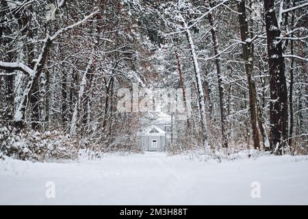 Winters Tale, Christmas holidays. One cottage in a beautiful pine snow forest. Winter house in snow forest panoramic landscape Stock Photo