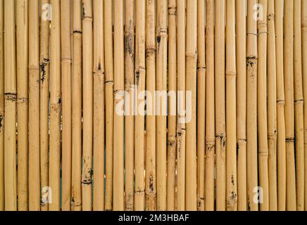 uniform background of bamboo sticks. brown texture Stock Photo