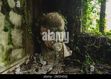 Damaged overgrown statue of Lenin in abandoned building. Stock Photo