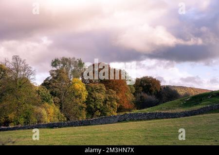 Walking in the Hope Valley on an autumn afternoon, Peak District, England Stock Photo