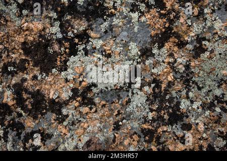 Closeup of mossy rock. Colorful texture of the mountain cliff. Stock Photo