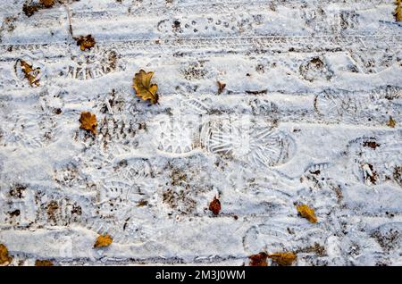 Tracks in the snow Stock Photo