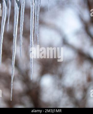 Glistening icicles hang on the ledge on a snowy day. Photo. Macro Stock Photo