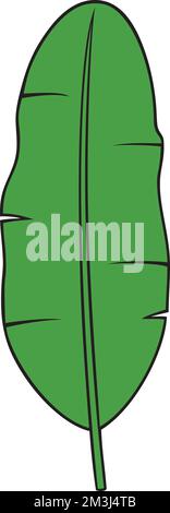 Banana Leaf Color Vector Illustration Stock Vector