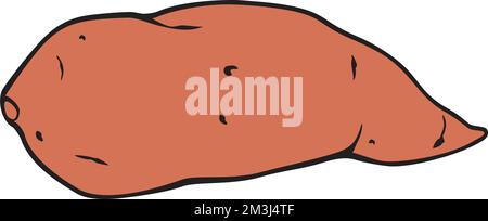 Sweet Potato Color. Vector Illustration. Stock Vector