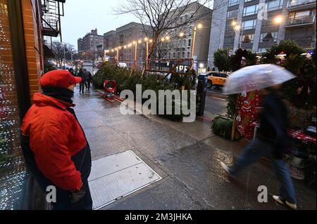 New York, USA. 15th Dec, 2022. A Christmas tree vendor looks on as a people walk past rows of trees for sale on York Avenue on Manhattan's Upper East Side, New York, NY, December 15, 2022. Rows of Douglas furs and Scotch Pines traditionally spring up for sale on residential street corners in New York City after Thanksgiving, and start coming down on Christmas Day. (Photo by Anthony Behar/Sipa USA) Credit: Sipa USA/Alamy Live News Stock Photo