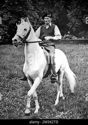 Photograph showing Field-Marshal Montgomery riding a white Arab stallion, Germany.  This horse was procured by the Germany army in 1941, with the intention that General Rommel should ride into Cairo, if the Germans captured the city. They did not, and when the horse was captured at a depot in Schleswig-Holstein, the British sent it to their commander to ride.     Date: 1945 Stock Photo