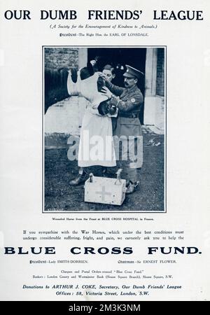 Help the Blue Cross fund 1916 Stock Photo