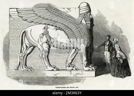 Lamassu Sculpture at the British Museum, London, 1850. Stock Photo