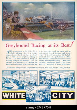 An advertisement for White City greyhound racing track.     Date: 1932 Stock Photo