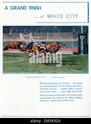 Advert for White City greyhound racing stadium depicting four greyhounds at the finishing post     Date: 1937 Stock Photo