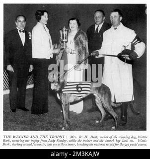 Wattle Bark, winner of the 1937 Greyhound Derby at White City is picture with his owner, Mrs. R. H. Dent receiving her trophy from Lady Stanley while the trainer and the kennel boy look on.  Wattle Bark, starting second favourite, was a worthy winner, breaking the national record for the 525 yards' course.  2 July 1937 Stock Photo