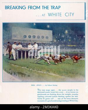 An advertisement for greyhound racing at White City stadium with a painting by Gilbert Holiday.  The caption reads: &quot;The trap snaps open...the 30,000 people in the darkened stands break into a roar...in an instant six greyhounds are flashing down the straight, muscles rippling, coloured jackets flashing against the brilliantly lit turf...one of the tense, dramatic moments of a greyhound.&quot;     Date: 1937 Stock Photo