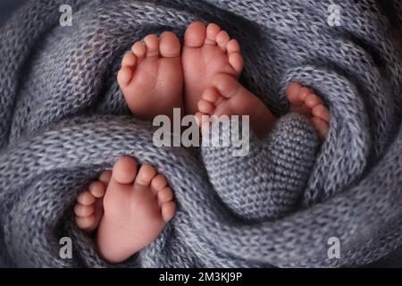 Feet of three newborn babies in blanket. Heart in the legs of newborn triplets.  Stock Photo