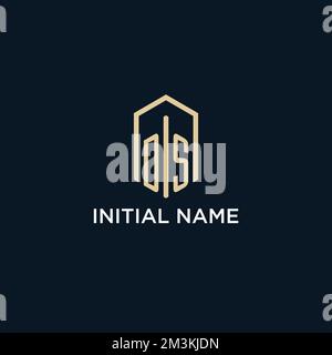 DS initial monogram logo with hexagonal shape style, real estate logo design ideas inspiration vector Stock Vector