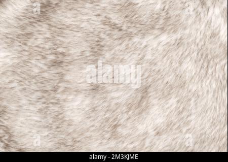 White wolf fake fur, surface and background. Faux fur made of synthetic fibers. Pile of fabric and animal-friendly alternative to traditional fur. Stock Photo