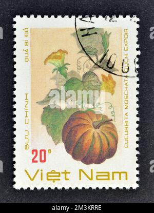 Cancelled postage stamp printed by Vietnam, that shows Pumpkin, circa 1988. Stock Photo