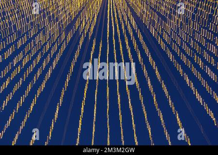 Abstraction blurred movement lights garlands. Golden lights of a blurred garland on the background of a purple blue sky. The concept of a night Stock Photo