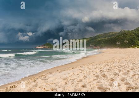 Scenic beach with sunset light before an oncoming storm. Mole beach in Florianopolis Stock Photo