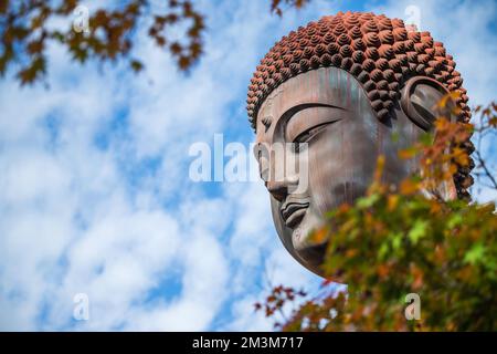 Koshoji Temple in Nagoya, Aichi, Japan Stock Photo