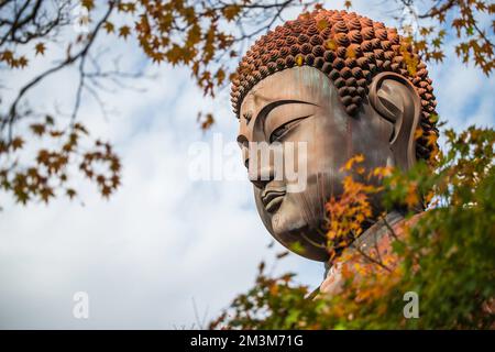 Koshoji Temple in Nagoya, Aichi, Japan Stock Photo