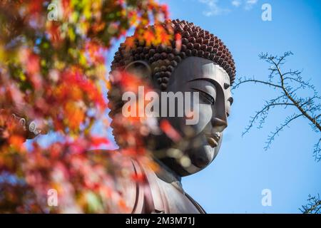 Koshoji Temple in Nagoya, Aichi, Japan Stock Photo