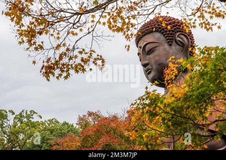 Koshoji Temple in Nagoya, Aichi, Japan Stock Photo