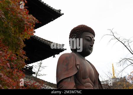 Koshoji Temple in Nagoya, Aichi, Japan Stock Photo