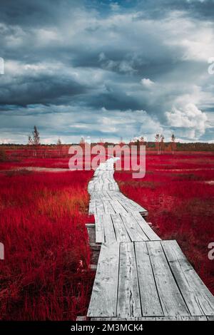 Colored Dramatic Sky Above Fantasy Swamp. Bright Dark Blue Dramatic Sky And Red Wetland. Wetland Fantasy. Concept Of Fantasy World. Fairy Tale Nature Stock Photo