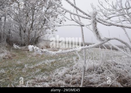 Ast im Winter, Winterlandschaft Stock Photo