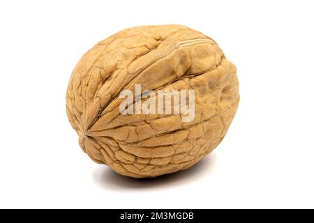 Walnuts in shell isolated on a white background. Clipping Path. Full depth of field. close up Stock Photo