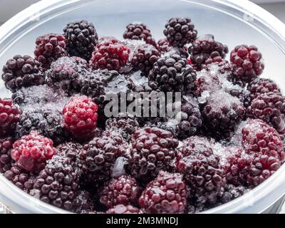 Frozen blackberry. Stock Photo