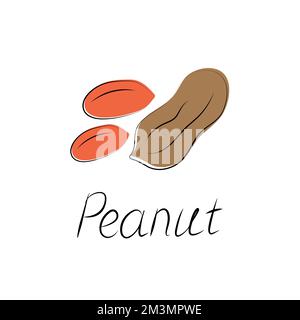 Peanuts in cartoon style. Nut icon for template label, packaging snackand emblem. Vector. Stock Vector